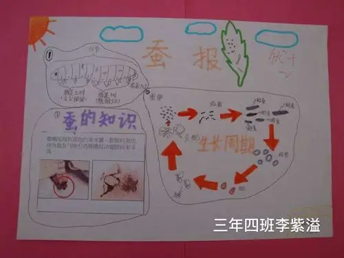 松江实验小学三年四班科学学科期末评价进行时