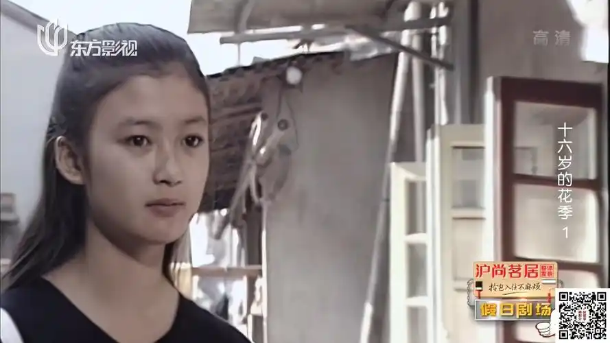 [中国内地][1989][十六岁的花季][战士强/吉雪萍][14集全][国语无字]