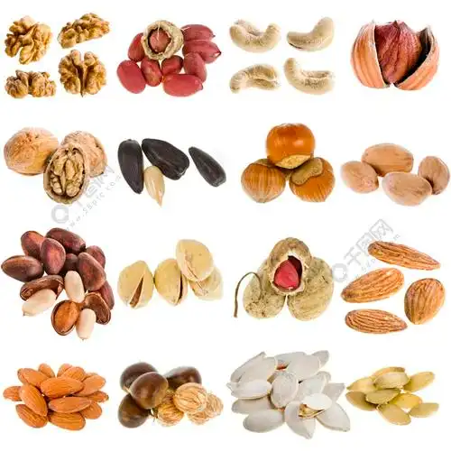 大量的坚果,在白色背景上孤立的种子集合