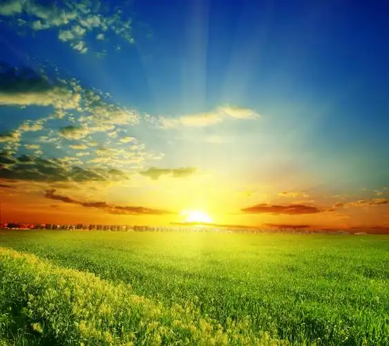 风景,风景,阳光,阳光下的草原壁纸