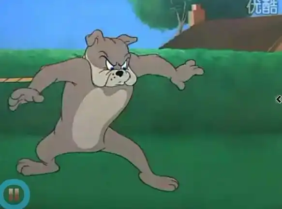 像吗.顺便说一下,它叫斯派克 spike