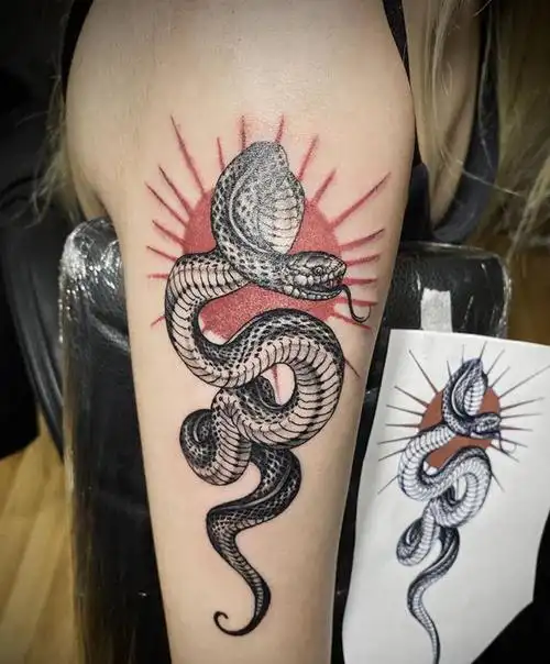 蛇纹身图片_手臂欧美写实纹身图案