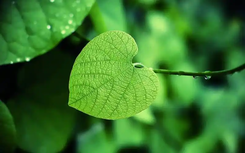 b站代刷,快手刷双击秒刷免费,快手粉丝超低价网站,抖音刷赞网