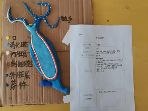 陆河外国语学校——八年级生物模型比赛