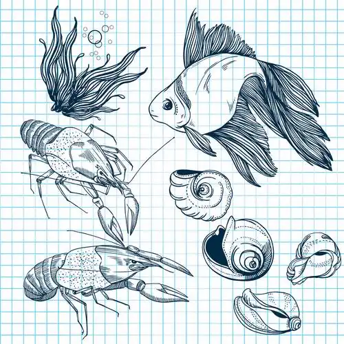 套手绘海洋动物,套手绘海洋动物