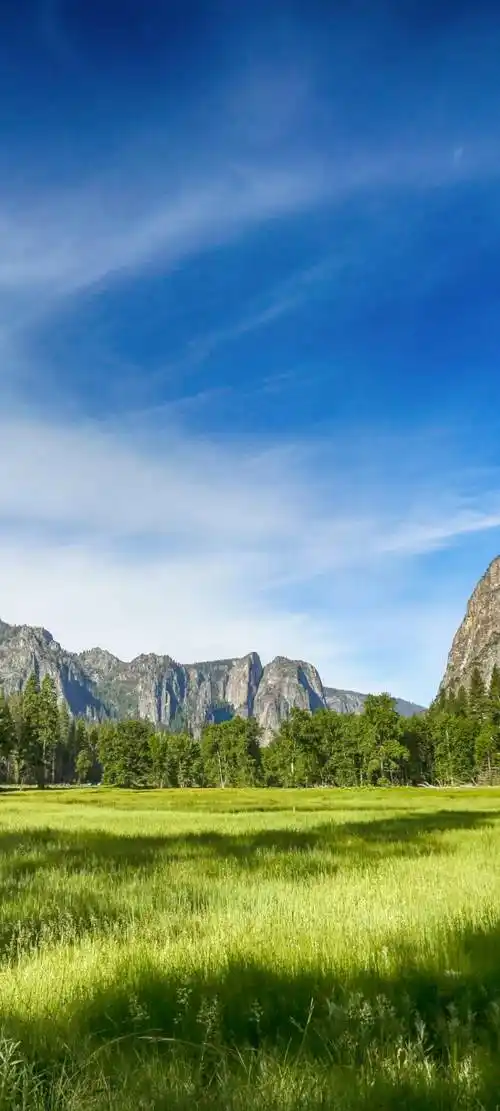 1080_2400竖版 竖屏