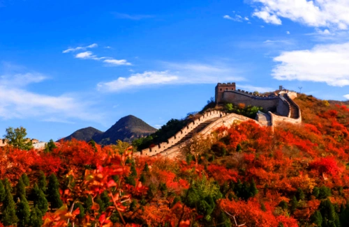 熊出没【京郊一日】游亚洲最大红叶景区-【红叶岭】-八达岭长城-卧龙