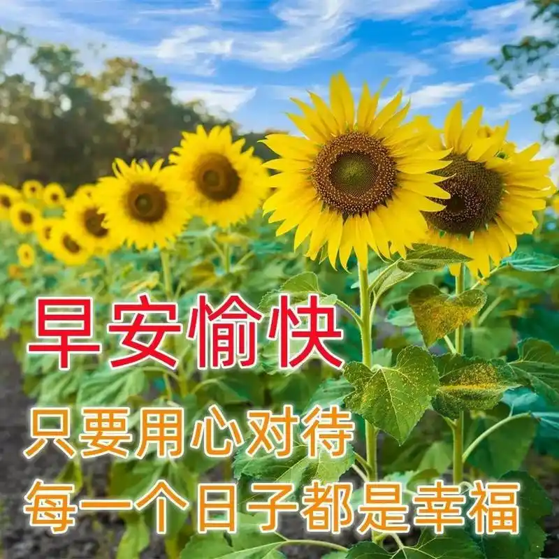 周四清晨暖心早安问候语句 早上发微信最美早上好祝福图片 1. 早上好!