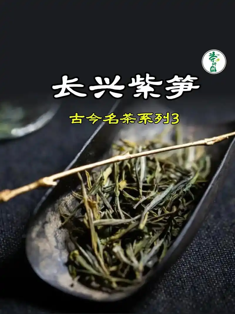 古今名茶3|大唐贡茶—长兴紫笋