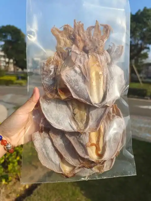 小小墨鱼干, 泡发后炖汤炒肉都是极好的, 墨鱼浑身都是宝, 墨鱼干也是