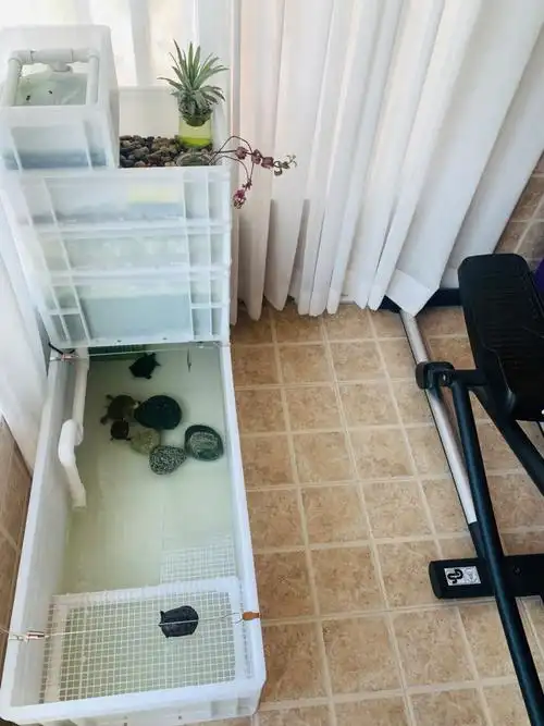 周转箱养龟改造完成73