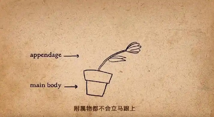 如果我要用flash制作一个动画短片请问需要掌握哪些技能