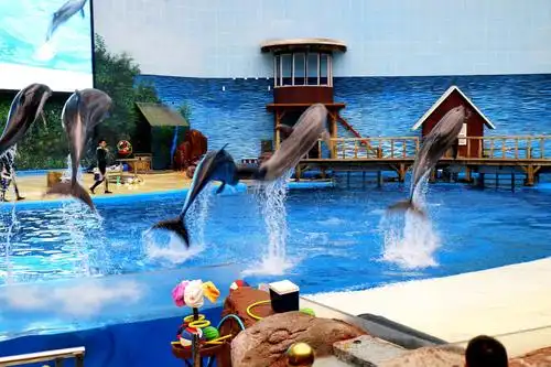 20181005天津之海昌极地海洋公园