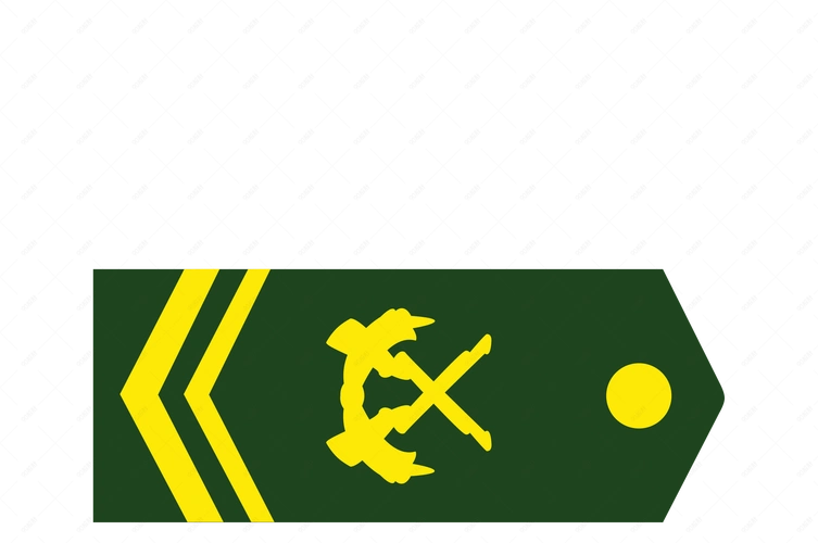 建军节军衔上士矢量图