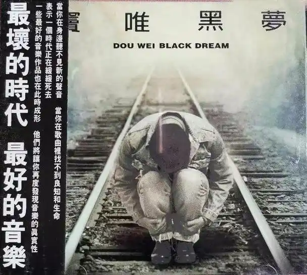 当时窦唯找高原拍摄新专辑的封面,两人重逢.