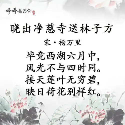晓出净慈寺送林子方 【宋】杨万里 毕竟西湖六月中, 风光不与四时同.