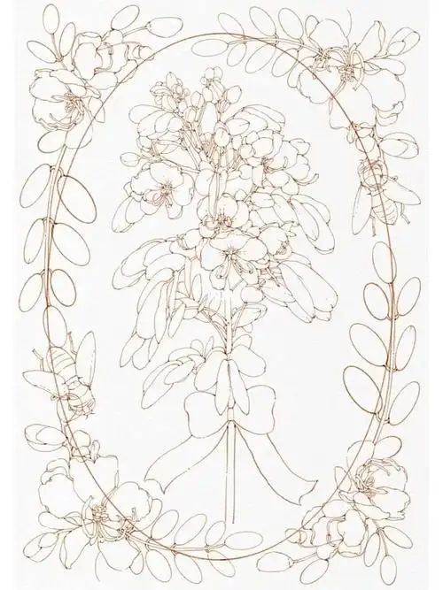 ipad水彩花卉|黄色花花线稿