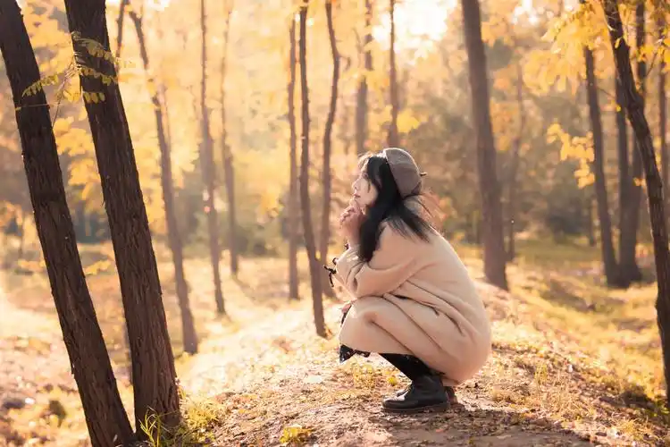 69 花粉随手拍 69 【花粉女生】《漂泊的落叶》   它看见   一轮