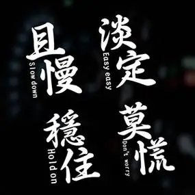 淡定车贴