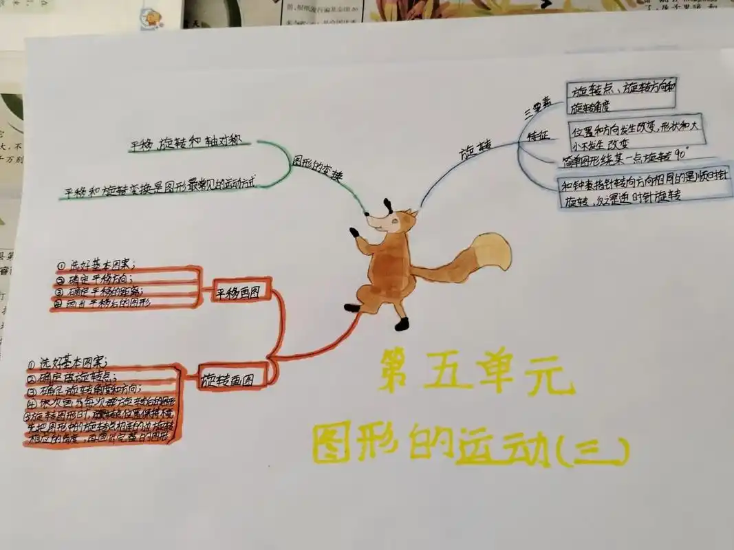 五年级数学下册第五单元思维导图