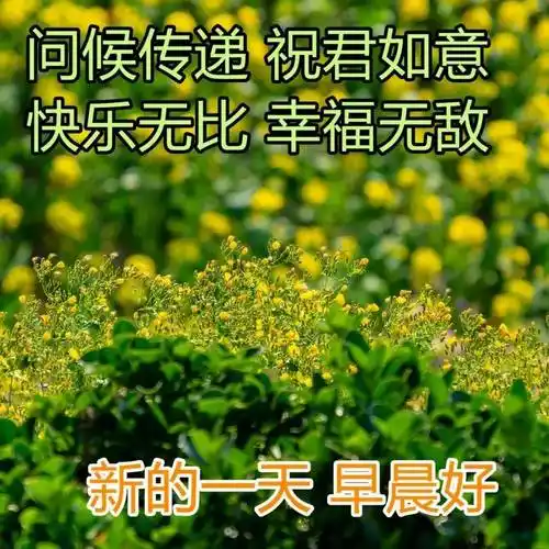 8张清新漂亮春日风景早上好图片带字带祝福语好看的早安问候祝福语