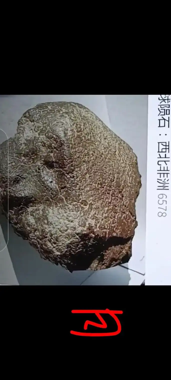 几种月球陨石外壳图片 - 抖音