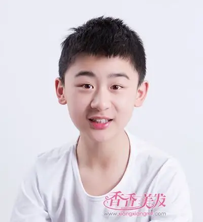 首页 流行发型 学生发型 细发少发男生短发发型图片 今年流行的初中