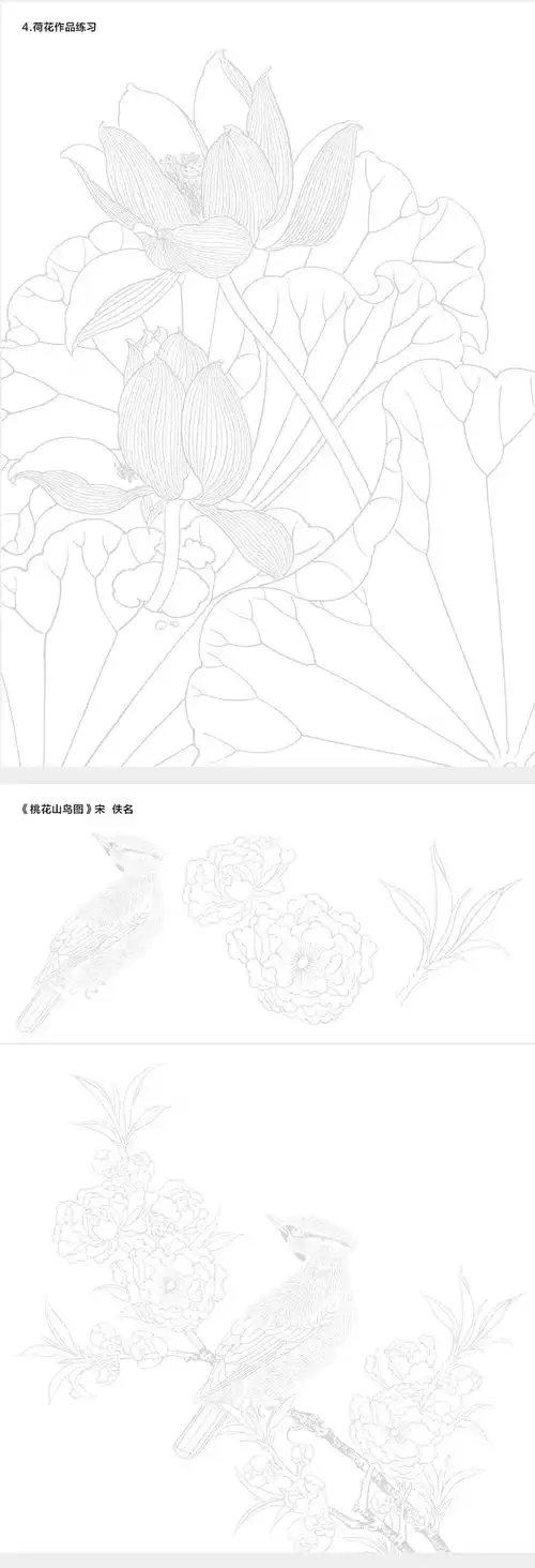 中国画白描入门篇线稿临摹描摹本国画零基础自学花鸟虫鱼荷花牡丹竹