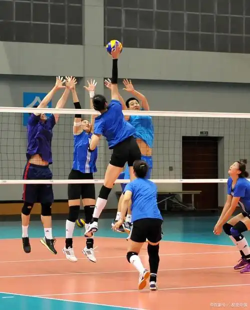 排球比赛有哪些规则