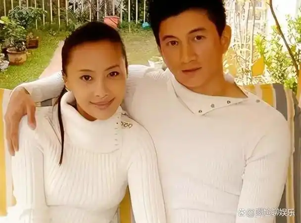 一婚的张译二婚的吴奇隆三婚的汪峰都不如四婚的他出人意料