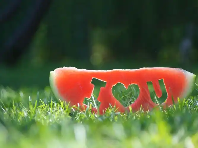 你若爱,生活哪里都可爱,护眼,绿色,清新,草地,西瓜,爱情,心情,情人节