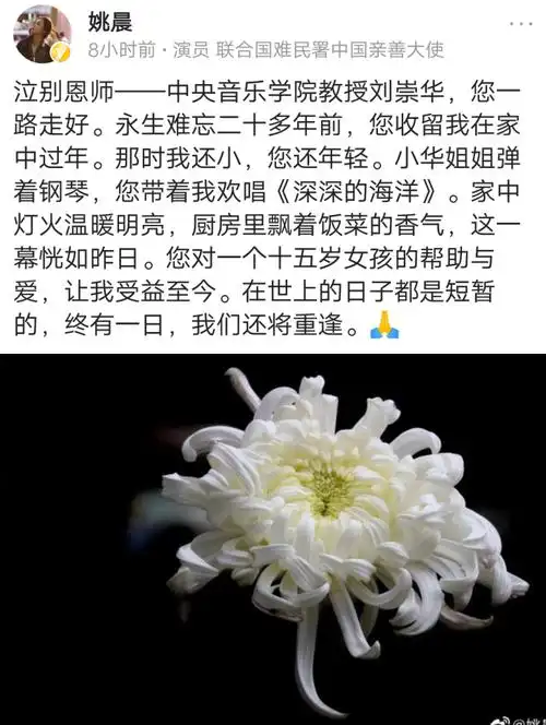 姚晨恩师去世悲痛悼念,说出的一句话让人泪奔亲人去世悲伤的图片亲人