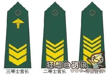 六级士官属于什么级别士官的等级是怎样划分的