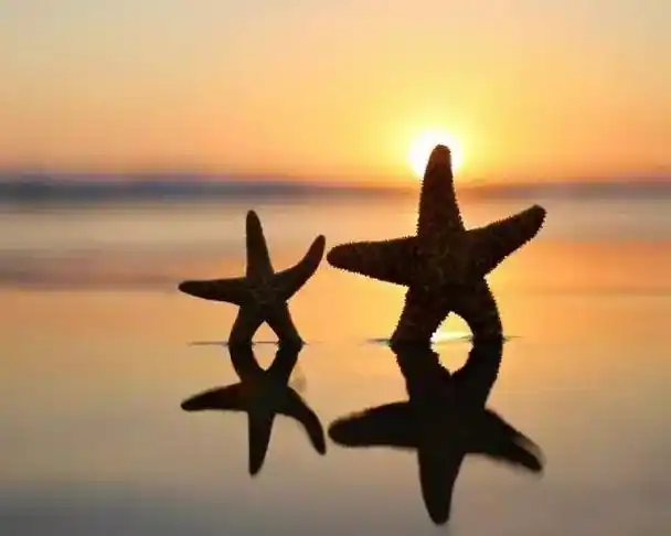 学会包容而不是纵容