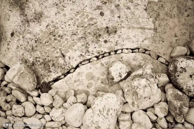 p>面状构造(planar structure )一个描述性和无成因含义的名词,泛指