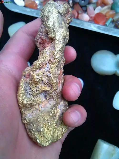 天然新疆狗头金一块