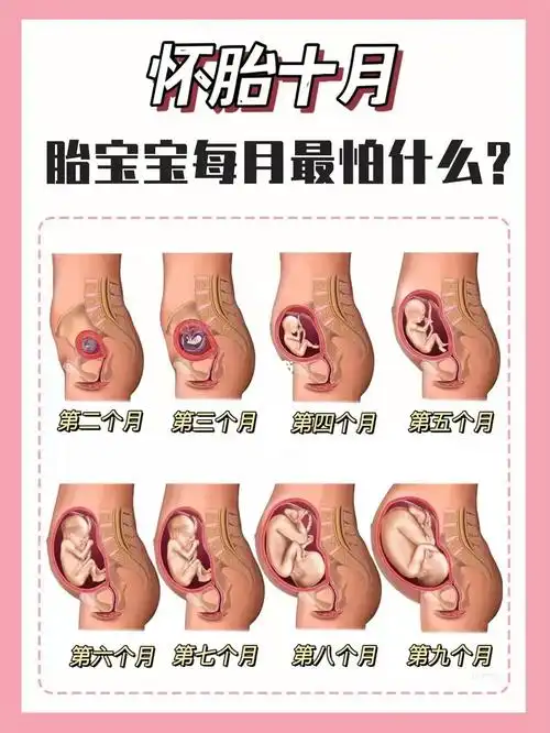 十月怀胎,对于新手妈妈来说,真的是一场升级打怪的过程!