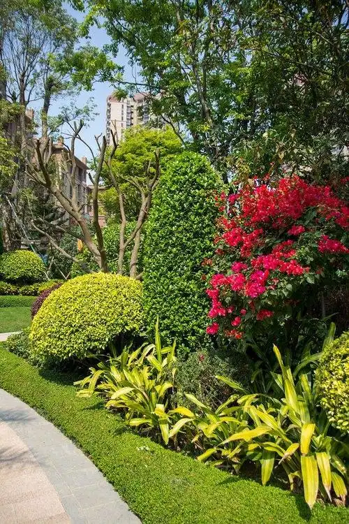 居住区绿化设计有哪些设计要求