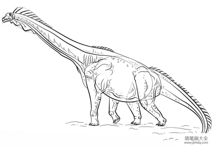 儿童马门溪龙简笔画