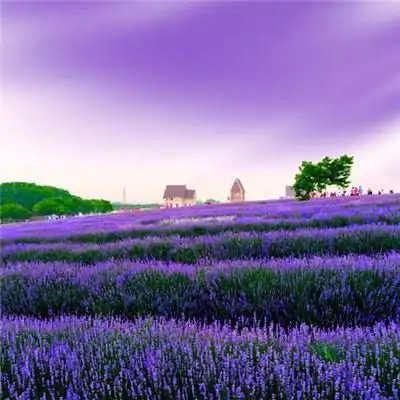 2021带来好运的微信头像图片 漂亮高清