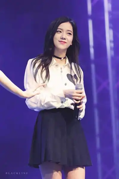 blackpink 金智秀(jisoo),金智妮(jennie),朴彩英(rosé),lisa