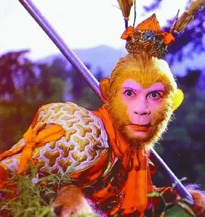 美猴王六小龄童孙悟空图片值得珍藏的旧照片 十二生肖猴