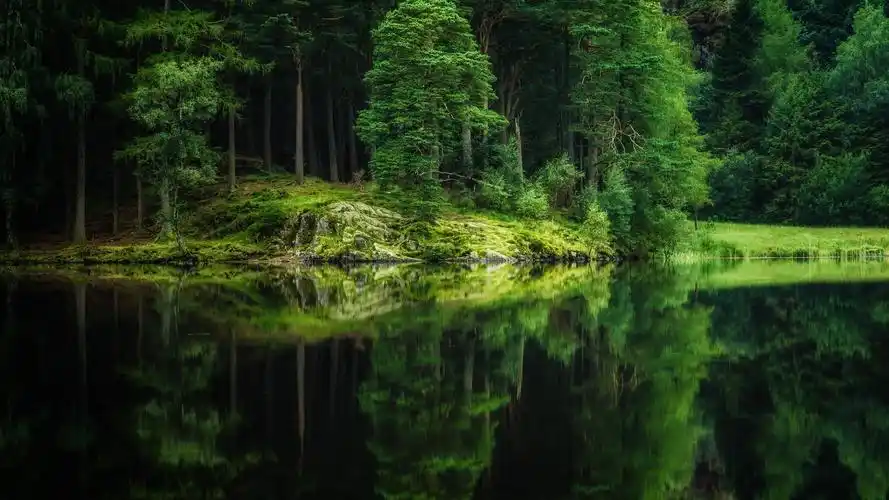 1920x1080体积:2mb上传时间:2022-03-30壁纸标签:护眼壁纸封面图护眼