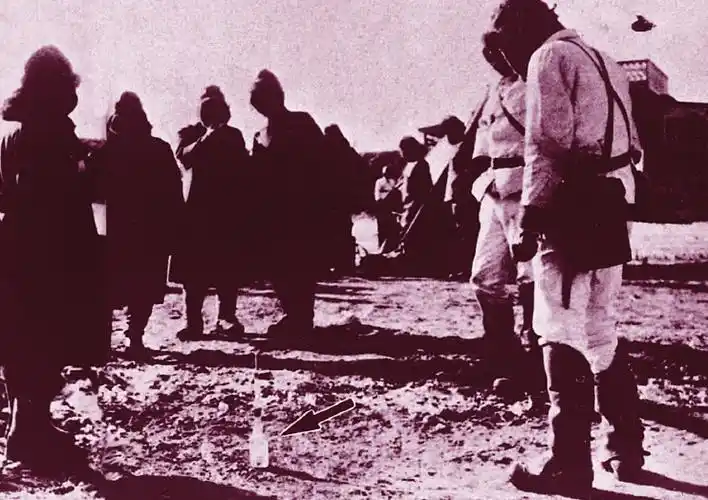 箭头指处为装有鼠疫病菌的瓶子.图为七三一部队野外实验.