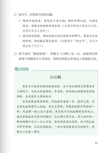 小学四年级课文白鹅原文部编版五四学制2