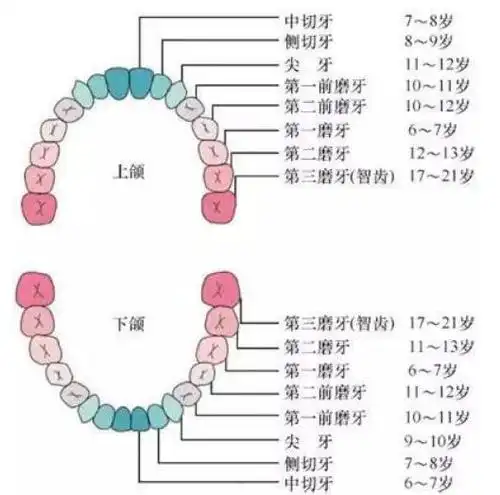 4岁男孩牙齿全黑最伤孩子牙齿的不是糖而是