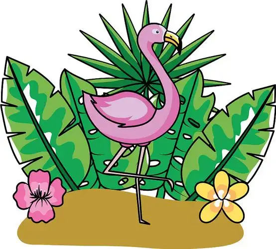 热带夏季粉红色火烈鸟卡通图片