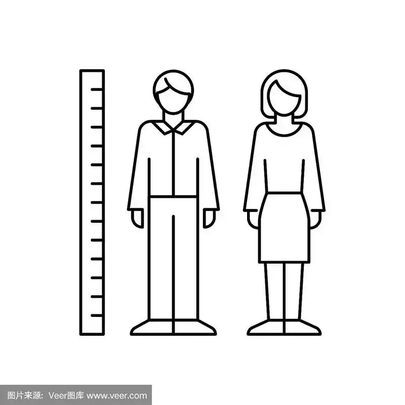 人体身高测量矢量图标线条风格