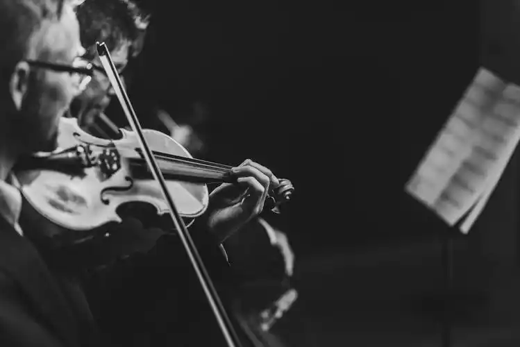 专业交响乐团在舞台上表演演奏古典音乐会