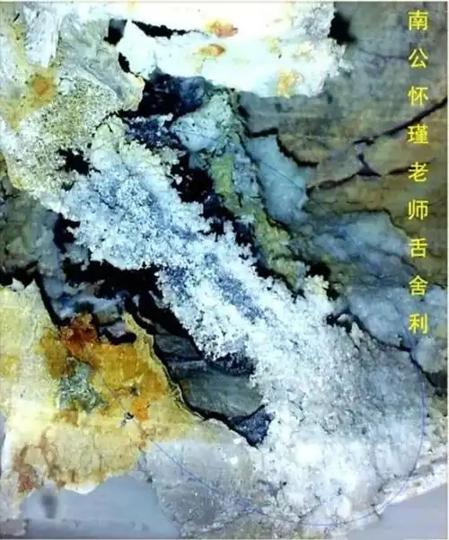 南怀瑾舍利子真图真实揭秘